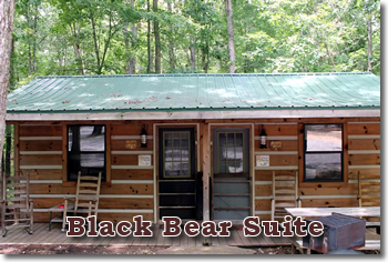 Black Bear Suite Davy Crockett Campground